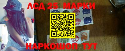 винт Сланцы